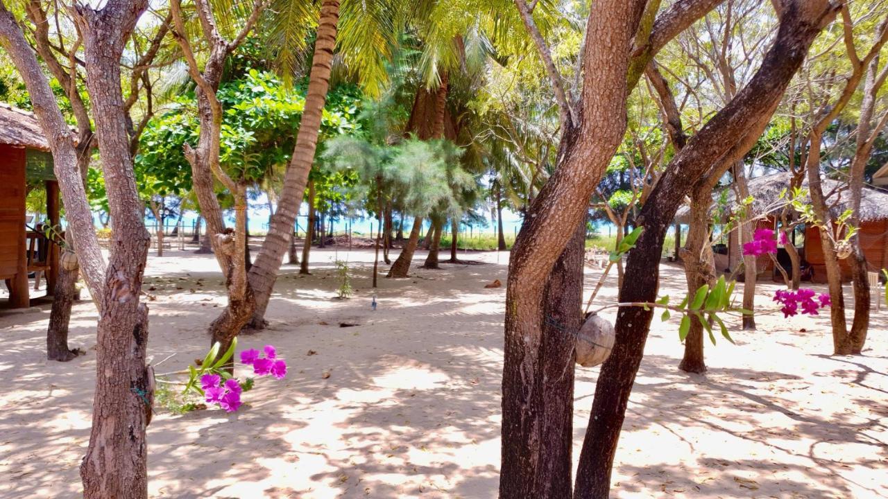Cocoville Passikudah Екстериор снимка